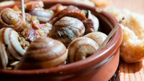 +Caracol. El caracol congelado al mejor precio. Su caracol en Mallorca.
