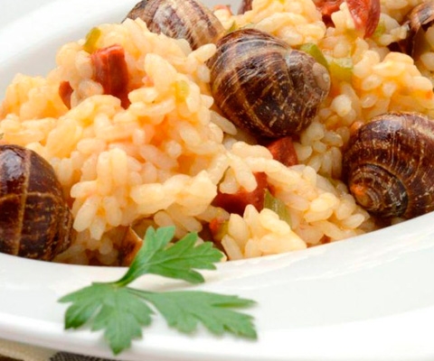 +Caracol. El caracol congelado al mejor precio. Su caracol en Mallorca.