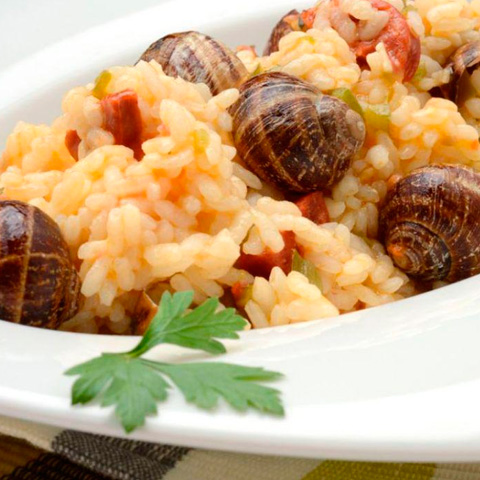 +Caracol. El caracol congelado al mejor precio. Su caracol en Mallorca.