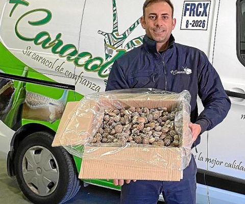 MUNDO MÁS CARACOL EN MALLORCA