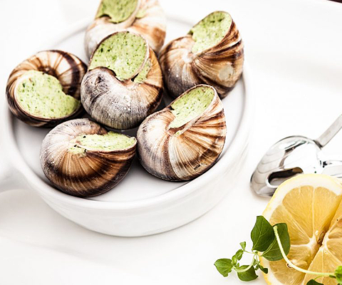 Más Caracol, Caracol en Mallorca. Distribuidores del mejor caracol en Mallorca